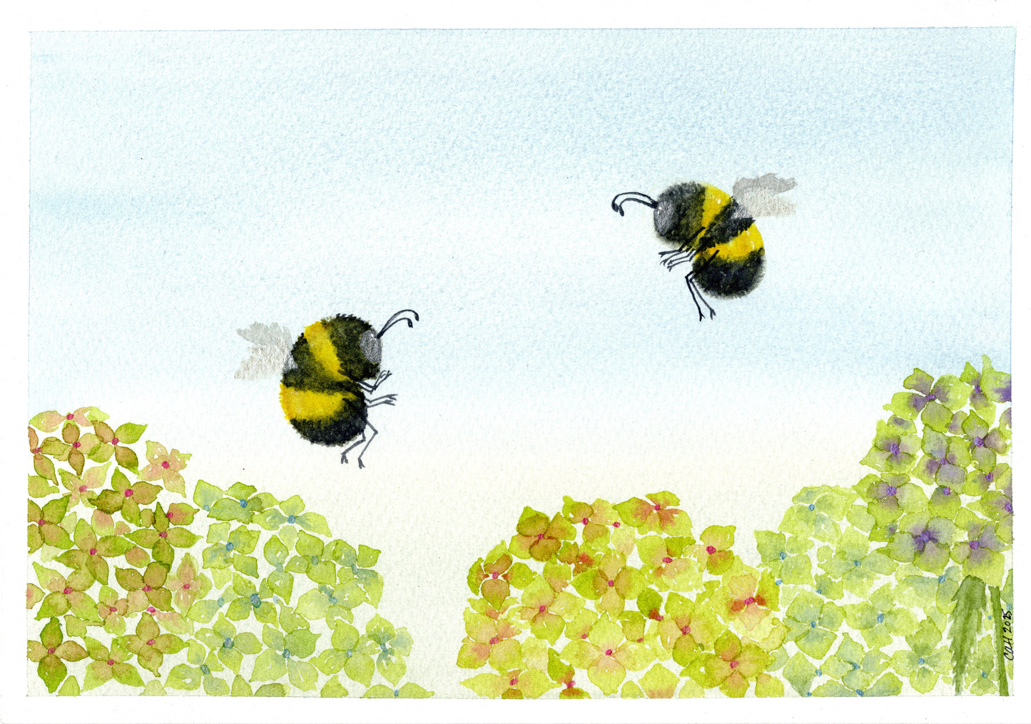 Bees over Hydrangea